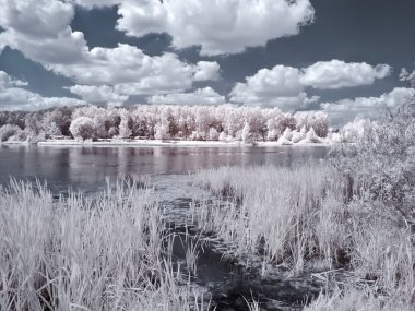 Beyaz göl kıyısında