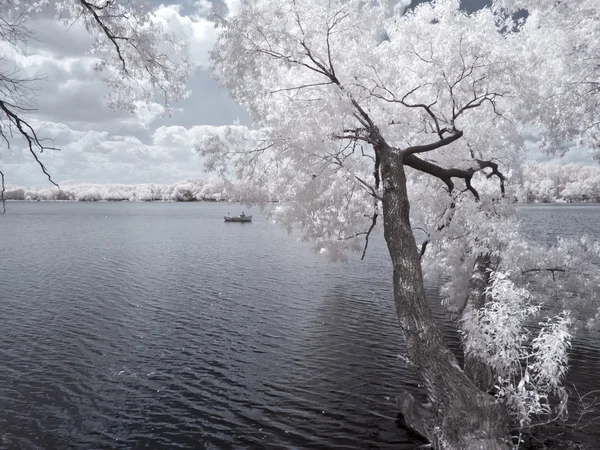 Coast of the White lake — Stock Photo, Image