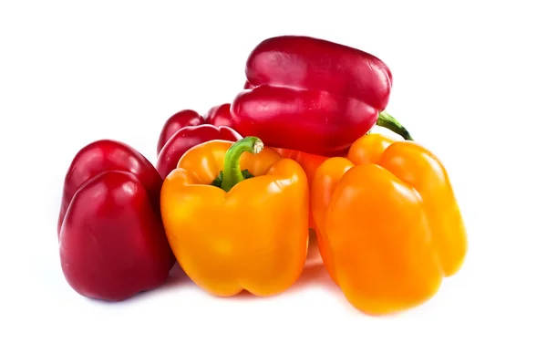 Capsicum annuum cultivars — Stock Photo, Image