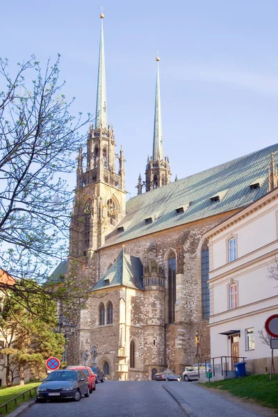 Brno. Cathedral of Saints Peter and Paul — Stock Photo, Image