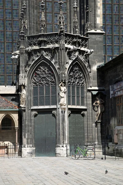 Katedralen saint stephen — Stockfoto