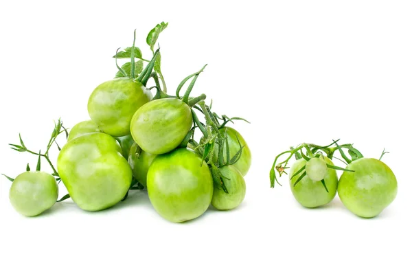 Rama de tomates verdes — Foto de Stock