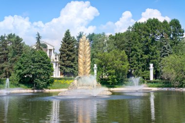 Altın kulak VDKNh, bir çeşme var