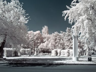 VDKNh. bölge. kızılötesi fotoğraf