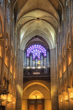 Paris. notre dame, organ 