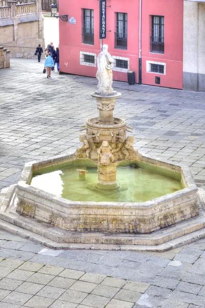 Burgos. fontänen på torget i saint maria — Stockfoto