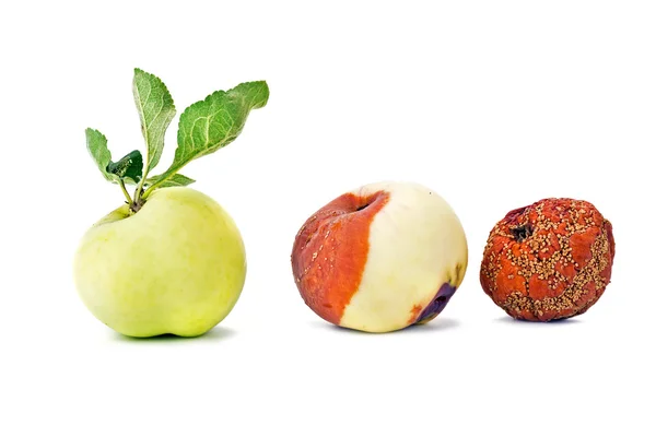 Три состояния яблока — стоковое фото