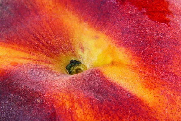 Peach closeup — Stock Photo, Image