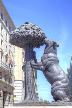 Madrid. heykel ve ceket silah ayı ve strawberr