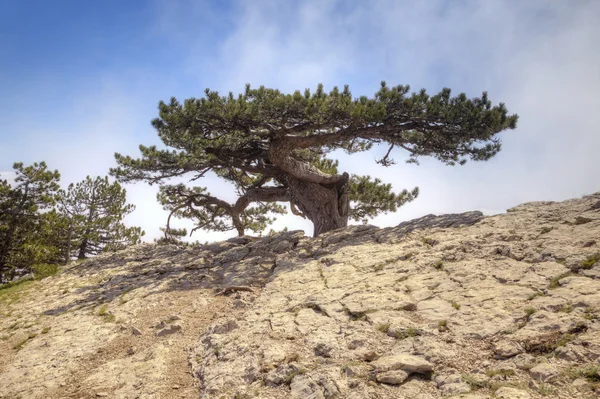 Berglandschap — Stockfoto