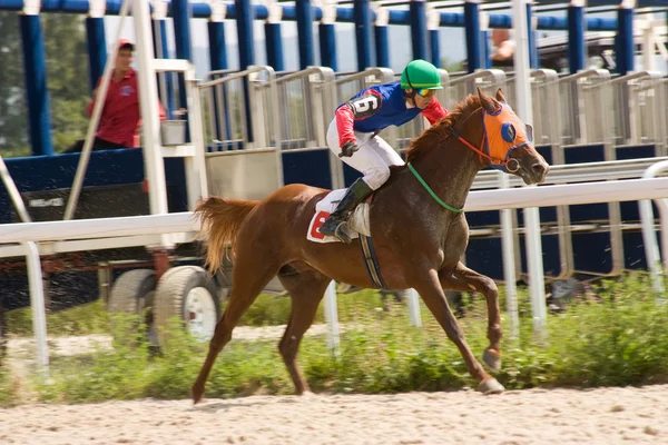 Corrida de cavalos . — Fotografia de Stock