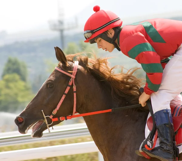 Jockey. — Stock Photo, Image