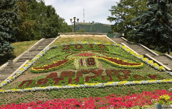 Flowerbed. — Stock fotografie