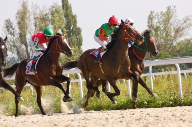 at yarışı.
