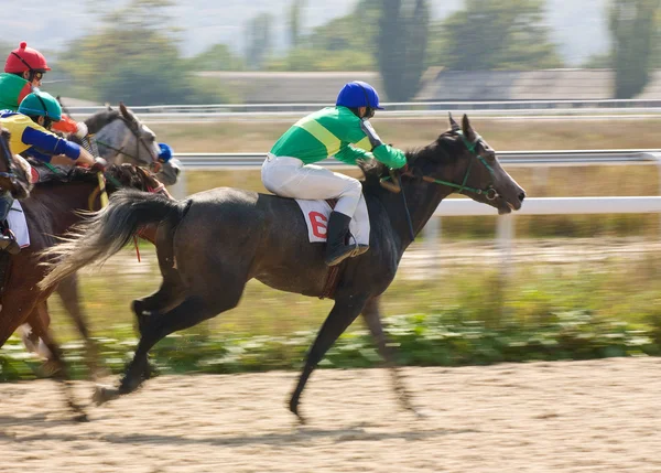 Horse racing — Stock Photo, Image