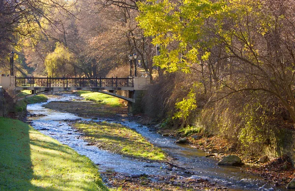 Parque de outono. — Fotografia de Stock