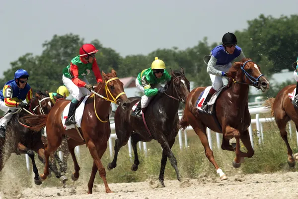 Corrida de cavalos . — Fotografia de Stock