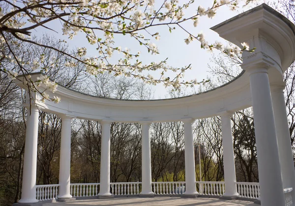 eski rotunda park Essentuki'de içinde.
