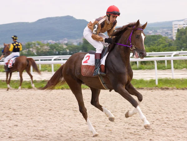 Carreras de caballos — Foto de Stock