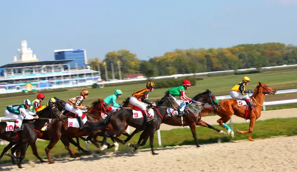 Corrida de cavalos — Fotografia de Stock