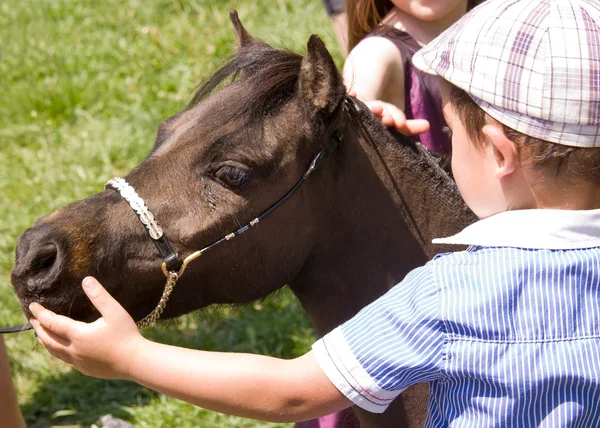 Детская похлопывающая лошадь — стоковое фото