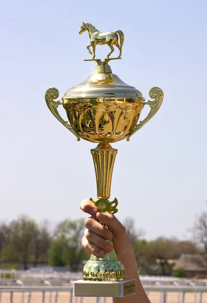 Trophy cup. — Stockfoto