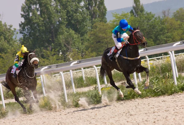 Corrida de cavalos em Pyatigorsk. — Fotografia de Stock