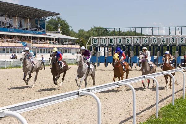 Pyatigorsk 'ta at yarışı.