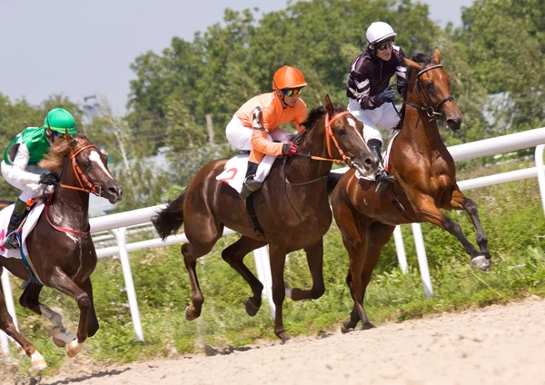Horse racing in Pyatigorsk. Stock Image