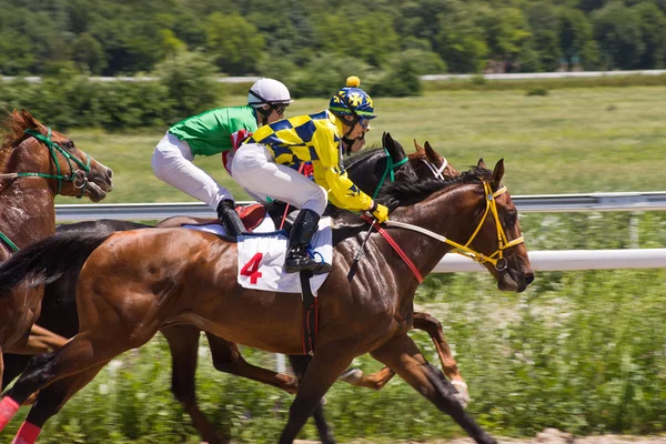 Wyścigi konne w Pyatigorsku. — Zdjęcie stockowe