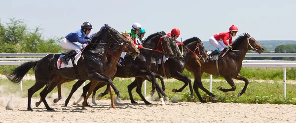 Corrida de cavalos — Fotografia de Stock