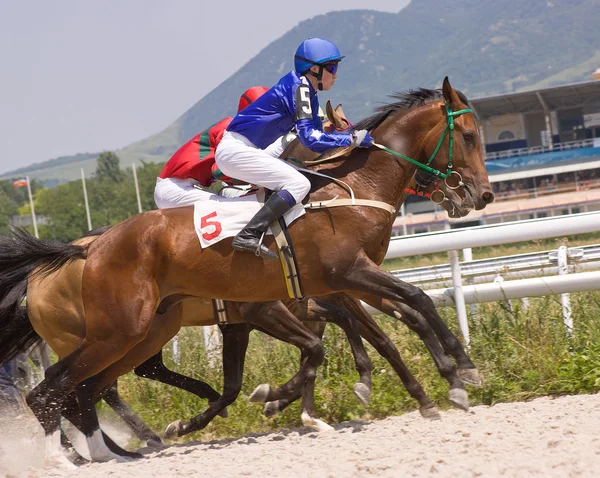 Carreras de caballos . —  Fotos de Stock