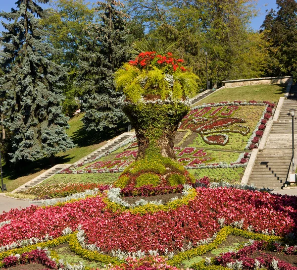 Cama de flores — Fotografia de Stock