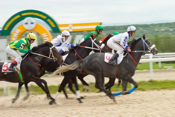 Corrida de cavalos — Fotografia de Stock