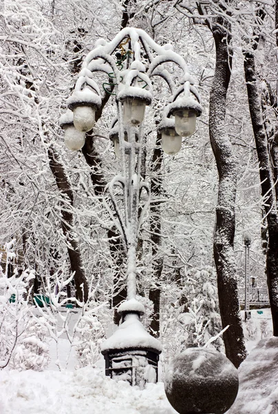Winter in Schelesnowodsk. — Stockfoto