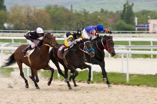 Corrida de cavalos — Fotografia de Stock