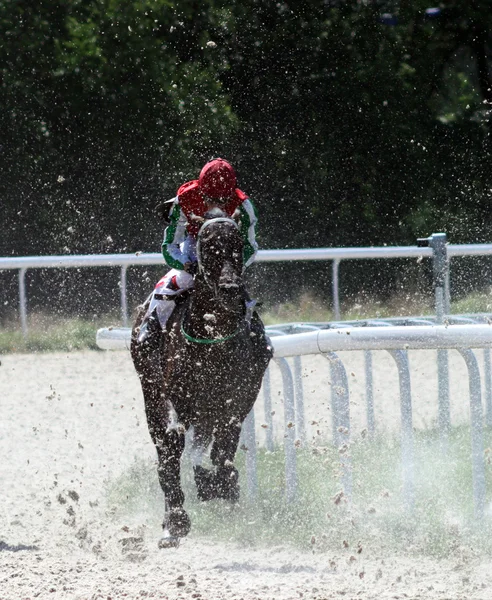 Course de chevaux — Photo