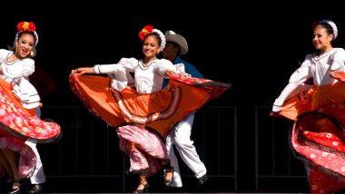 Fiesta san diego, Kaliforniya.