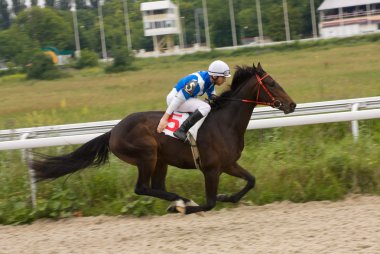 at racihg.