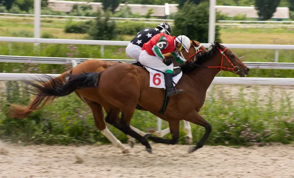 Cavalo racihg. — Fotografia de Stock