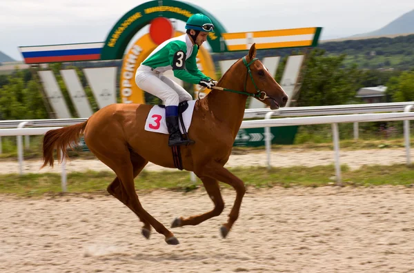 Hästkapplöpning finish — Stockfoto