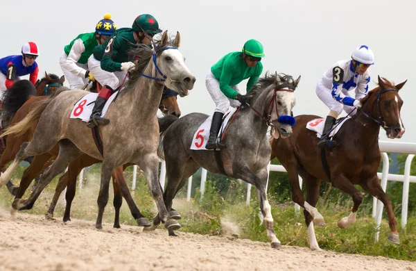 Corrida de cavalos — Fotografia de Stock