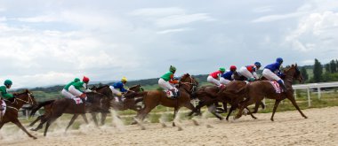 at yarışı