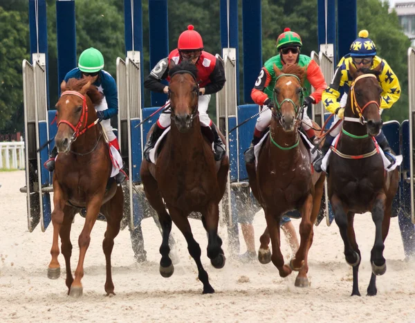 Horse racing Stock Image