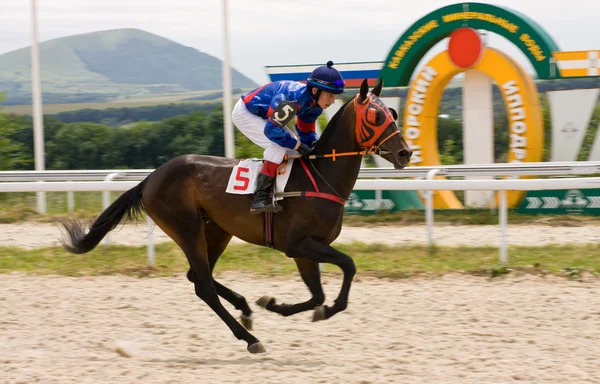 Acabamento da Corrida de Cavalos — Fotografia de Stock