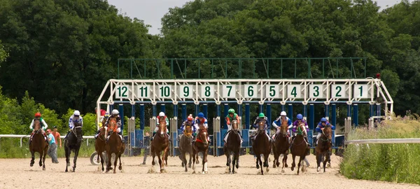 Course de chevaux — Photo