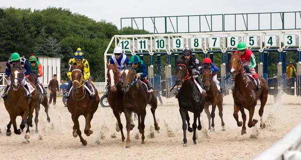 Course de chevaux départ . — Photo