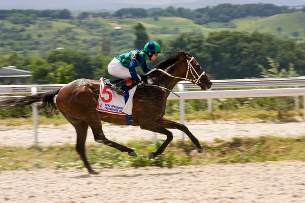 El ganador . — Foto de Stock