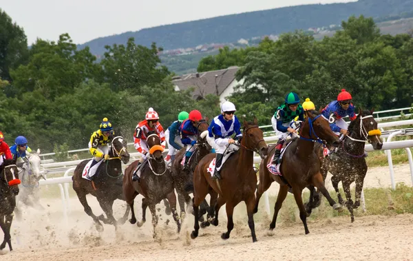 Corrida de cavalos — Fotografia de Stock