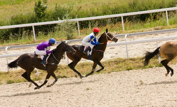 Corrida de cavalos — Fotografia de Stock